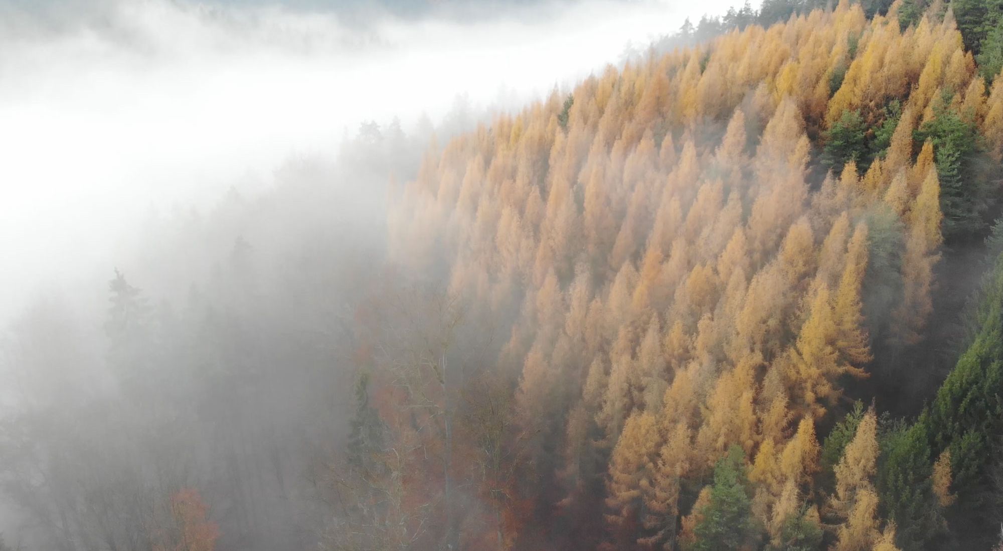 Drohenflug über den Thüringer Wald am Morgen