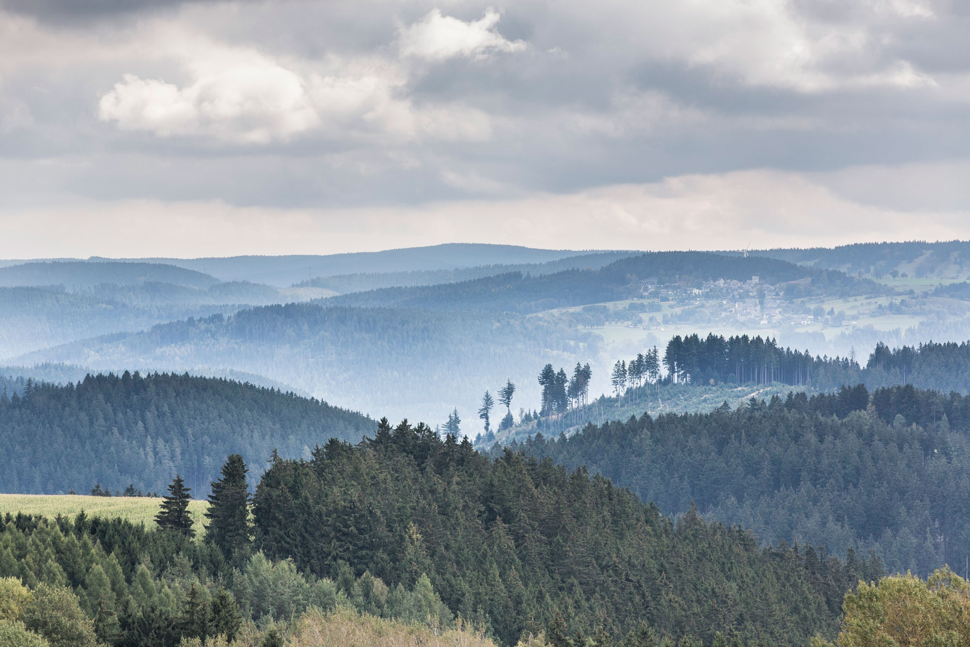 Ansicht Thüringer Wald- und Berglandschaft