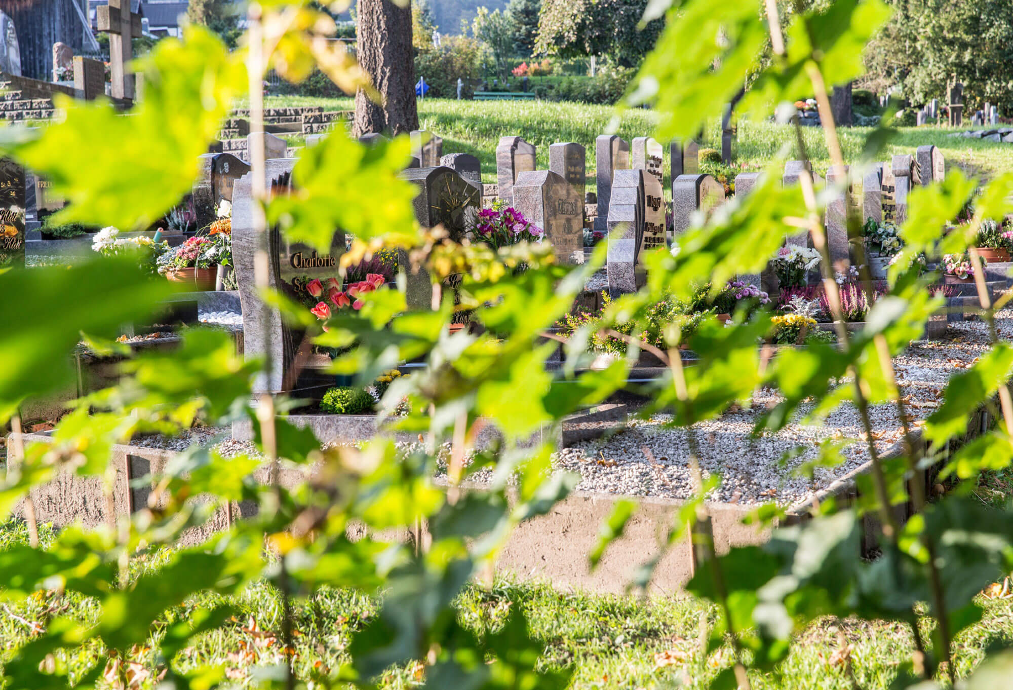 Erdgräber mit beschrifteten Grabsteinen auf einem Thüringer Friedhof