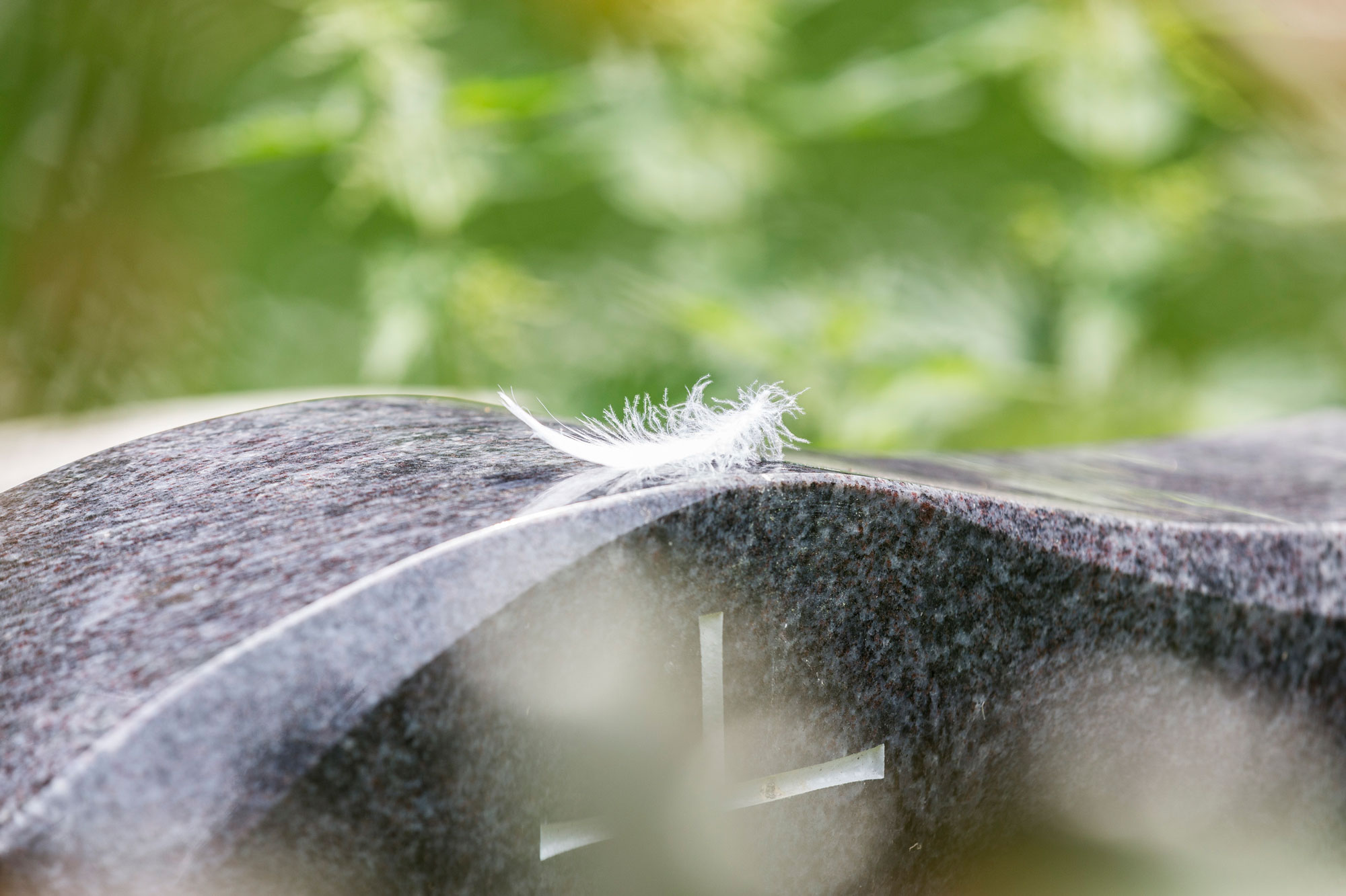 Weiße Feder auf einem grau-schwarzem Granit-Grabstein