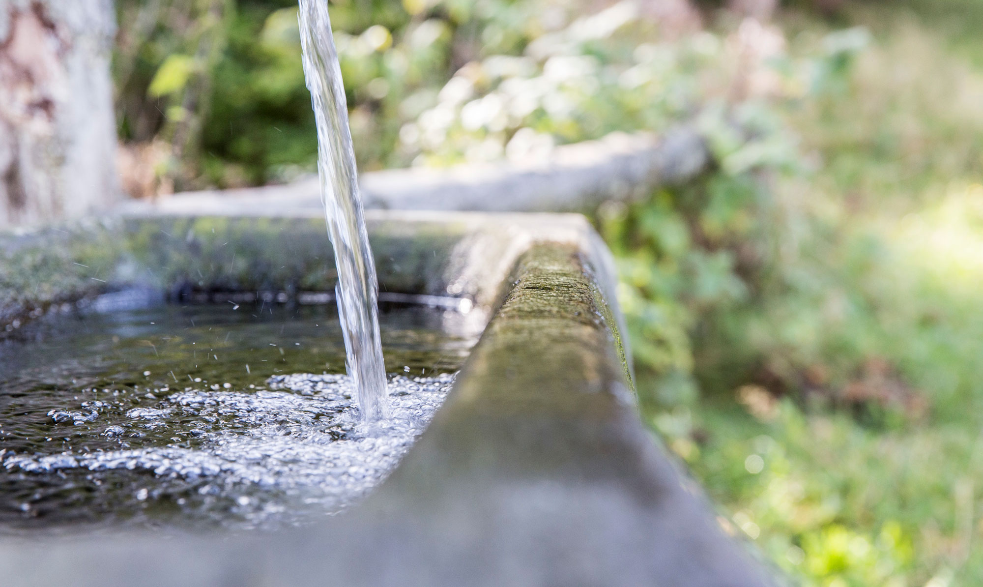 Wasserlauf im grünen Thüringer Wald